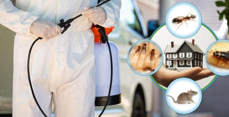 Nazilli Böcek İlaçlama