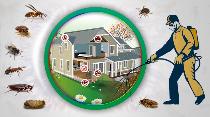 Nazilli Böcek İlaçlama