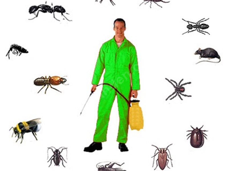 Nazilli Böcek İlaçlama